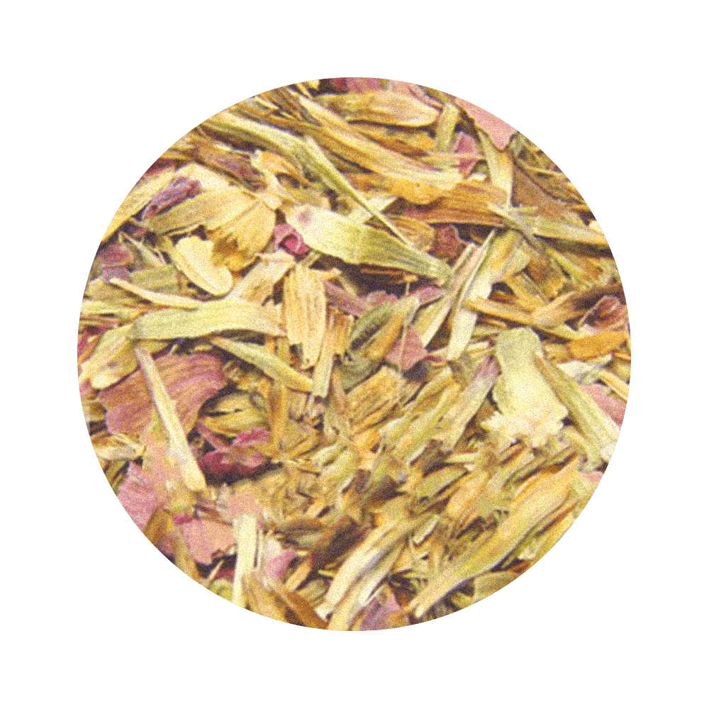 Echinacea purpurová, kvet 40 g