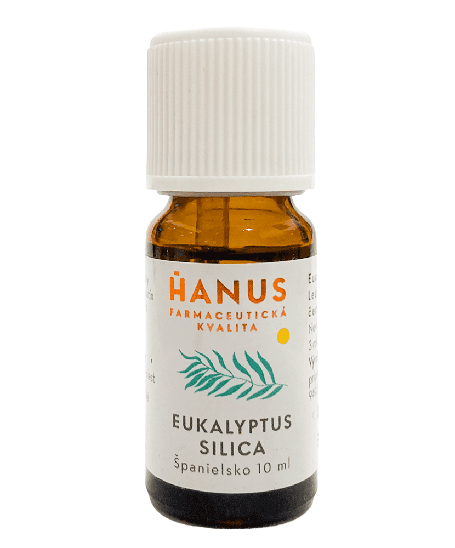 Eukalyptová silica 10 ml H