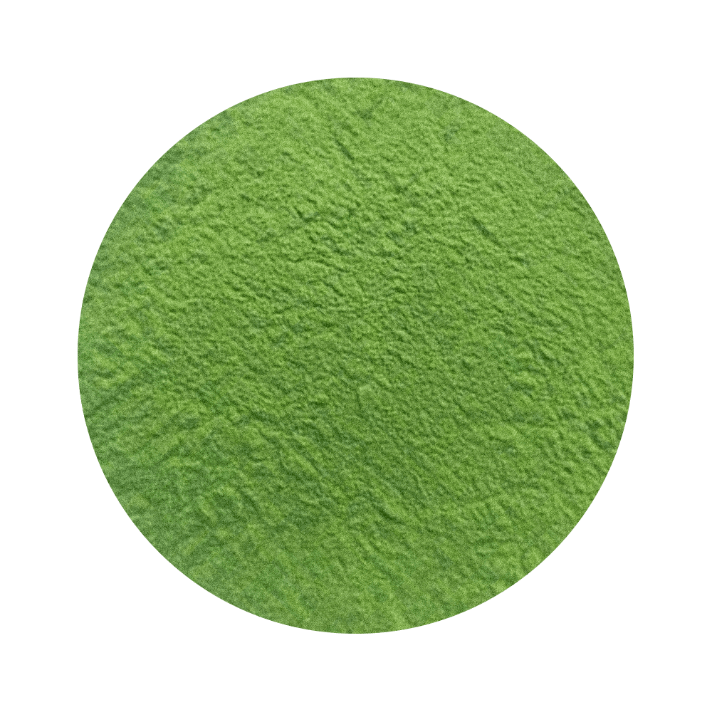 Chlorella vulgaris prášok 100g HQ