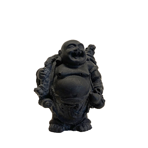 Šungit - Budha