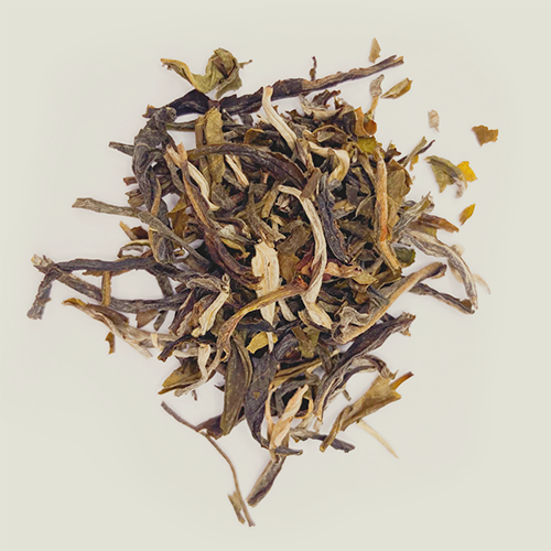 Zelený čaj China Henan Xing Mao Jian 50 g