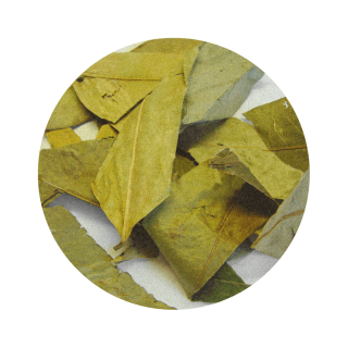 Graviola 50g