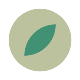 Zelený čaj Sencha Saka 50g